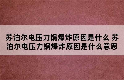 苏泊尔电压力锅爆炸原因是什么 苏泊尔电压力锅爆炸原因是什么意思